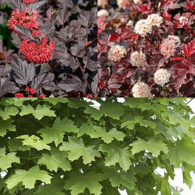 Комплект ОСЕННИЙ КОСТЕР в Липецке