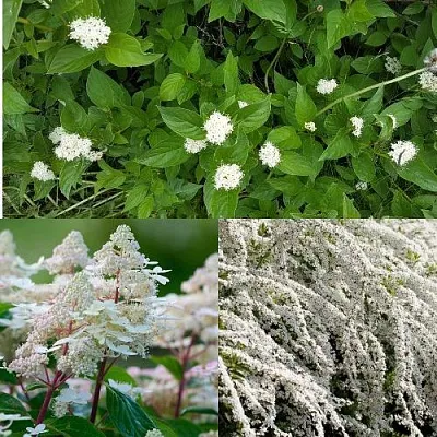 Комплект СКАНДИНАВСКИЙ СТИЛЬ в Липецке