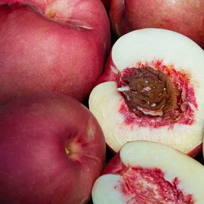 НЕКТАПЛЮМ в Липецке