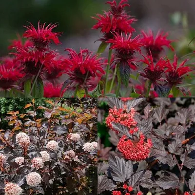 Комплект ОГНЕННЫЙ МИКС в Липецке