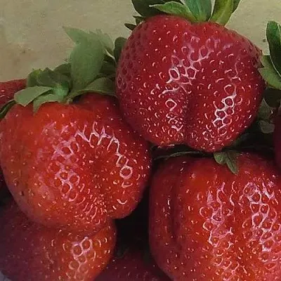 Клубника ДЕСТЕНИ в Липецке