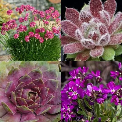 Комплект МИНИ САД в Липецке