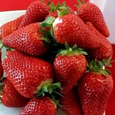 Клубника БРИЛЛА в Липецке