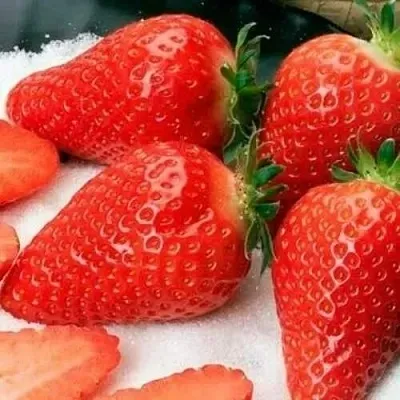 Клубника АЛЬБА в Липецке